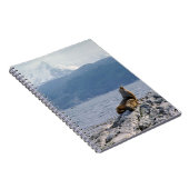 Carnet Otaries dans le chenal beagle - Argentine (Côté Droit)