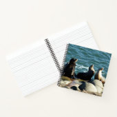 Carnet Otaries de San Diego (Intérieur)