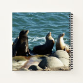 Carnet Otaries de San Diego (Dos)