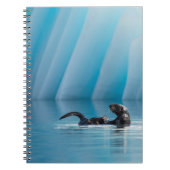 Carnet Otter de mer joueuse (Devant)