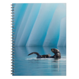 Carnet Otter de mer joueuse