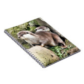 CARNET OTTERS (Côté Droit)