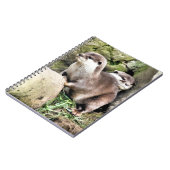 CARNET OTTERS (Côté gauche)