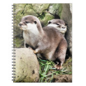 CARNET OTTERS (Devant)