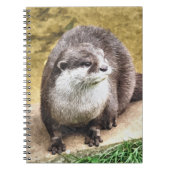 CARNET OTTERS (Devant)
