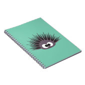 Carnet Ourchine de mer (Côté Droit)