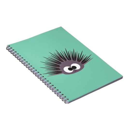 Carnet Ourchine de mer (Côté Droit)