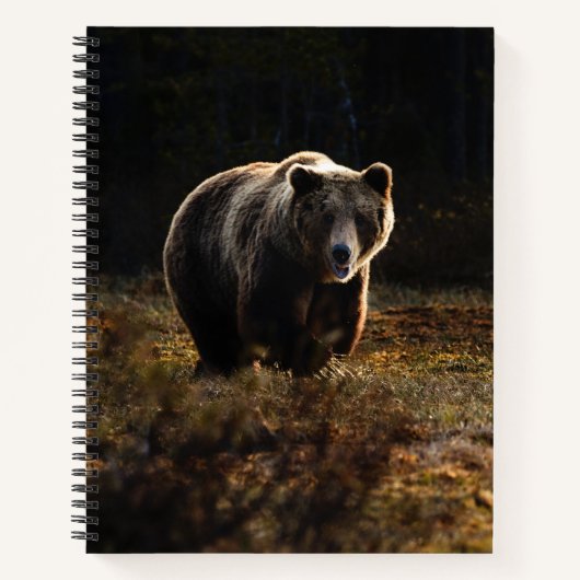 Carnet Ours (Devant)