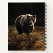 Carnet Ours (Dos)
