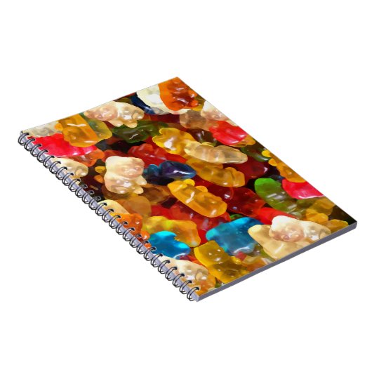 Carnet ours (Côté Droit)