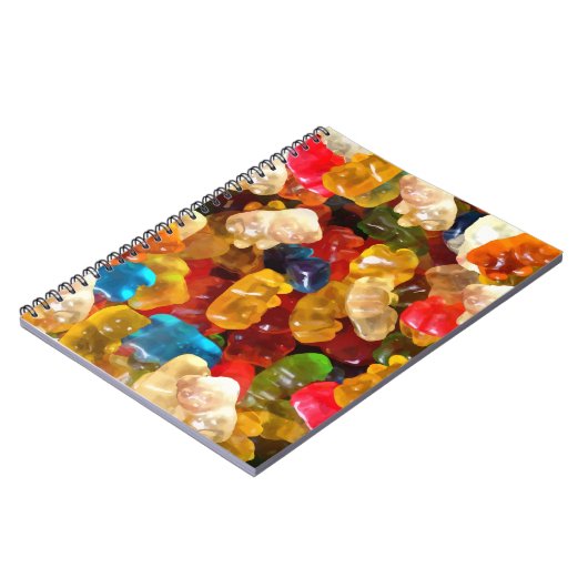 Carnet ours (Côté gauche)