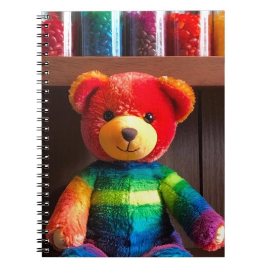Carnet Ours arc-en-ciel (Devant)