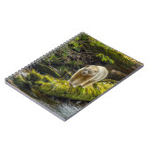 Carnet Ours blanc | Colombie-Britannique, Canada (Côté gauche)