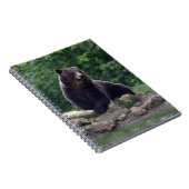 Carnet Ours Brown (Côté Droit)