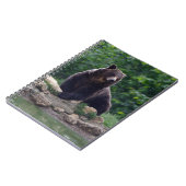 Carnet Ours Brown (Côté gauche)