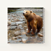 Carnet Ours Brown dans le ruisseau (Dos)