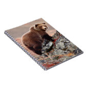 Carnet Ours Brown de Denali (Côté Droit)