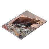 Carnet Ours Brown de Denali (Côté gauche)