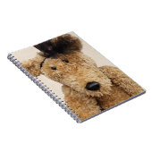 Carnet Ours Brown mignon (Côté Droit)