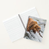 Carnet Ours brun attrape un saumon rouge (Intérieur)