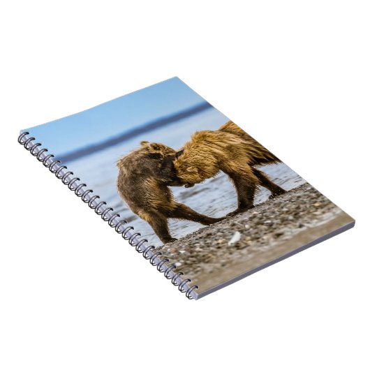 Carnet Ours brun côtier (Côté Droit)