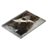 Carnet Ours brun, ou Grizzly côtier, Ursus (Côté gauche)