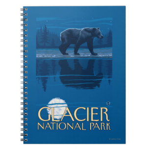Carnet Ours dans le clair de lune - parc national de