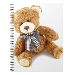 Carnet Ours de nounours
