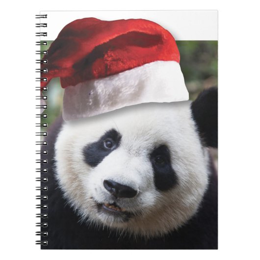 Carnet Ours de panda Noël (Devant)