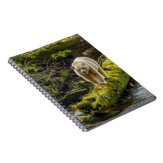 Carnet Ours d'esprit blanc | Colombie-Britannique, Canada (Côté Droit)