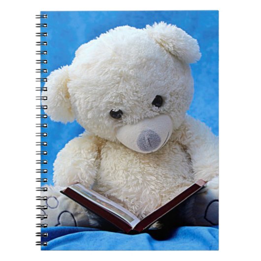 Carnet Ours en peluche mignon (Devant)