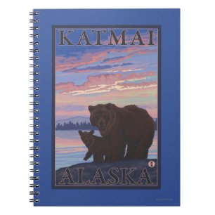 Carnet Ours et cub - Katmai, Alaska