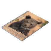 Carnet Ours gris CUB (Côté gauche)