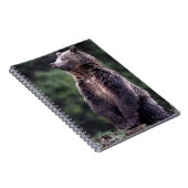 Carnet Ours gris debout (Côté Droit)