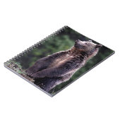 Carnet Ours gris debout (Côté gauche)