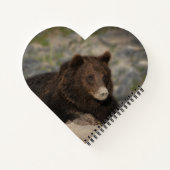 Carnet Ours Grizzli Avec Canvas De Nez Sable Imprimer (Dos)