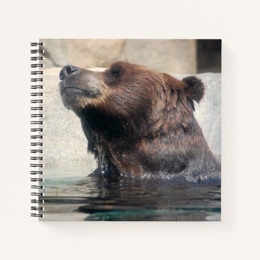 Carnet Ours grizzli mignon dans l'eau (Devant)