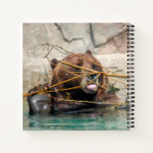 Carnet Ours grizzli mignon dans l'eau (Dos)