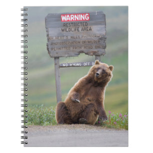 Carnet Ours Grizzly Joue Avec Un Panneau