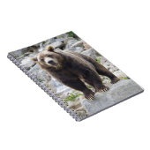 Carnet Ours kodiak (Côté Droit)