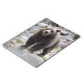Carnet Ours kodiak (Côté gauche)