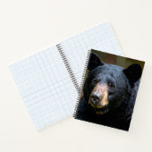 Carnet Ours noir (Intérieur)