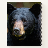 Carnet Ours noir (Dos)