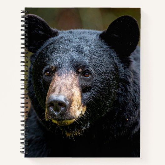 Carnet Ours noir (Devant)