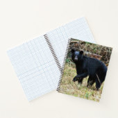 Carnet Ours noir de Floride (Intérieur)
