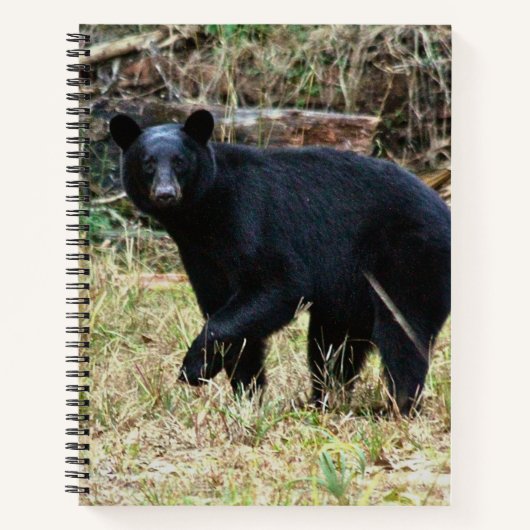 Carnet Ours noir de Floride (Devant)