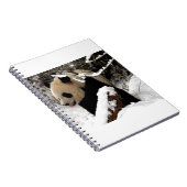Carnet Ours panda (Côté Droit)