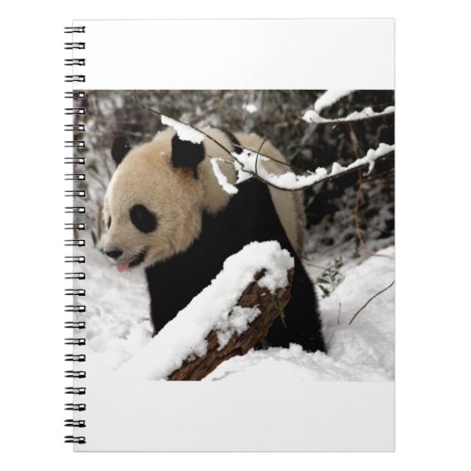 Carnet Ours panda (Devant)
