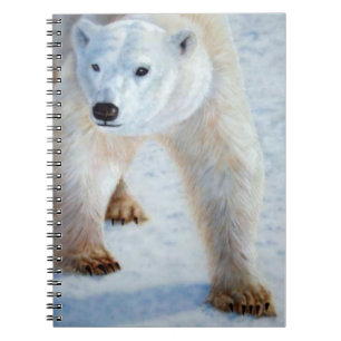 Carnet Ours polaire