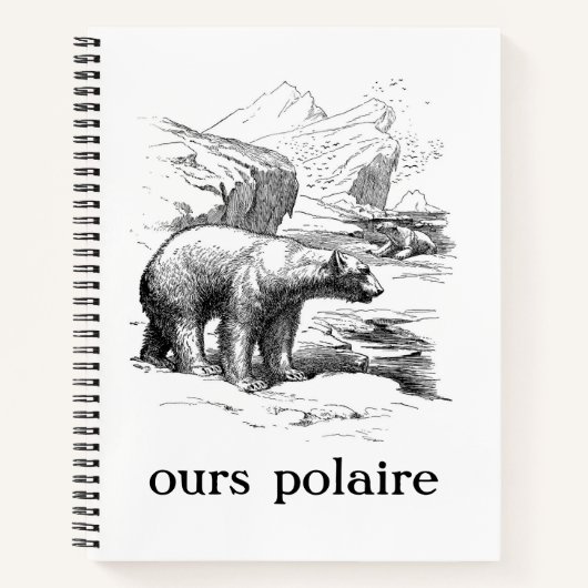 Carnet Ours Polaire Ours Polaire (Devant)